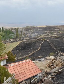 Anız Yangını Köye Sıçradı! 250 Dönüm Arazi ve 2 Ahır Kül Oldu
