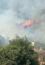 Antalya Aksu'da Yangın: Havadan ve Karadan M&uuml;dahale Devam Ediyor!