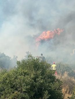 Antalya Aksu'da Yangın: Havadan ve Karadan Müdahale Devam Ediyor!