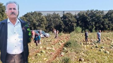 Antalya'da Sosyal Medyada Yapılan &Ccedil;ağrı ile 120 Ton Karpuz Bedava Dağıtıldı
