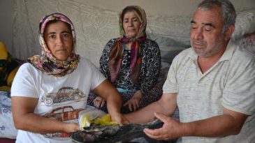 Antalya'daki yangında t&uuml;m birikimlerini kaybettiler! Merkez Bankası'na başvuruda bulundular