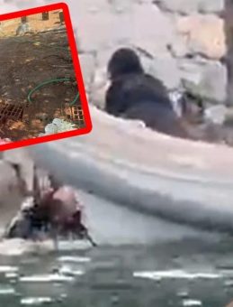 Arda Deniz teknede çıkan kavgada hayatını kaybetmişti: Düğün detayı yürek dağladı!