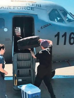 Askeri Uçak Organ Nakli İçin Havalandı