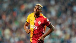 Aslan aşkı ağır bastı!