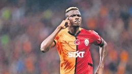Aslan'a Yakınlığa Dair Yeni Gelişmeler!
