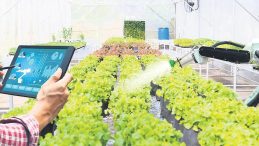 Avrupa’da Dijital Tarımın Lideri Türk Çiftçisi Oldu