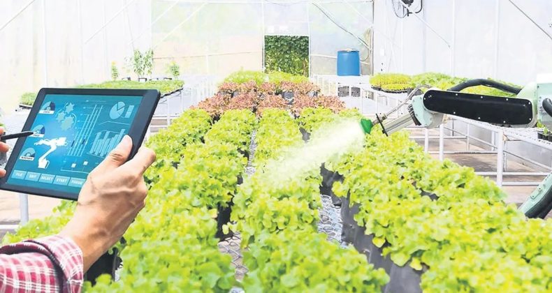 Avrupa’da Dijital Tarımın Lideri Türk Çiftçisi Oldu