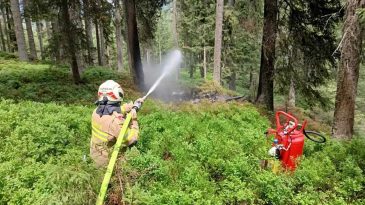 Avusturya&rsquo;da U&ccedil;ak Ormana D&uuml;şt&uuml;: 4 Kişi Hayatını Kaybetti