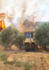 Aydın ve Muğla&rsquo;da &Ccedil;ıkan Yangınlarla M&uuml;cadele Devam Ediyor