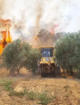 Aydın ve Muğla’da Çıkan Yangınlarla Mücadele Devam Ediyor