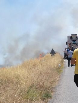 Ayvalık’ta Yangın Tehlikesi: İş Yerleri Risk Altında