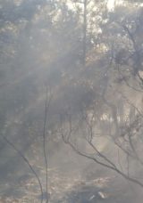 Babaeski'de Tarım Arazisinden Askeri B&ouml;lgeye Sı&ccedil;rayan Yangın Kontrol Altına Alındı