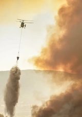 Bakan Yumaklı A&ccedil;ıkladı! Bilecik'teki Orman Yangını Kontrol Altında