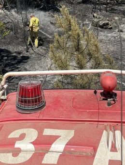 Bakan Yumaklı: Ovacık’taki yangın kontrol altına alındı! Safranbolu yangını devam ediyor