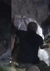 Bal Toplama Esnasında Hayatını Kaybetti