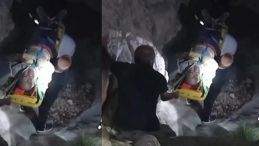 Bal Toplama Esnasında Hayatını Kaybetti