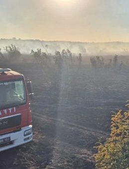 Balıkesir'de Merada Çıkan Yangın Kontrol Altına Alındı