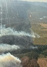 Balıkesir'de Orman Yangını