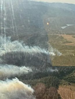 Balıkesir'de Orman Yangını