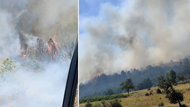 Balıkesir'de Orman Yangını! Havadan ve Karadan Müdahale Devam Ediyor