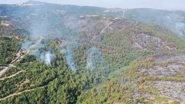 Balıkesir'deki Orman Yangını 29 Saat S&uuml;ren M&uuml;cadelenin Ardından Kontrol Altına Alındı
