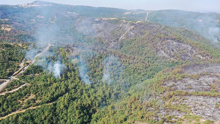Balıkesir'deki Orman Yangını 29 Saat Süren Mücadelenin Ardından Kontrol Altına Alındı