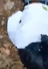 Belgrad Ormanı&rsquo;nda Poşetli Ceset Bulundu