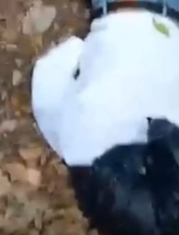 Belgrad Ormanı’nda Poşetli Ceset Bulundu