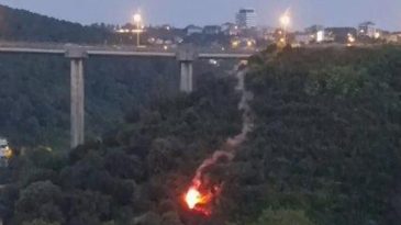 Beykoz'da Orman Yangınına Neden Olan Kişi Tutuklandı, İfadesi Ortaya &Ccedil;ıktı