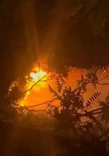 Beykoz&rsquo;da Ormanlık Alanda Yangın Meydana Geldi: &Ccedil;ok Sayıda Ekip G&ouml;nderildi!