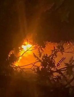 Beykoz’da Ormanlık Alanda Yangın Meydana Geldi: Çok Sayıda Ekip Gönderildi!