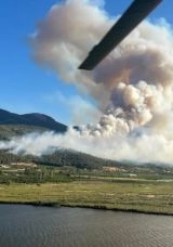 Bilecik, Sakarya ve D&uuml;zce'de Orman Yangını! Bir K&ouml;y Tahliye Edildi, Ekiplerin M&uuml;dahalesi Devam Ediyor