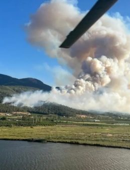 Bilecik, Sakarya ve Düzce'de Orman Yangını! Bir Köy Tahliye Edildi, Ekiplerin Müdahalesi Devam Ediyor