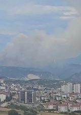 Bilecik'te Orman Yangınına M&uuml;dahale Devam Ediyor: Dumanlar Kent Merkezinde G&ouml;r&uuml;ld&uuml;!