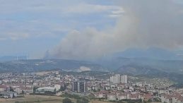 Bilecik'te Orman Yangınına Müdahale Devam Ediyor: Dumanlar Kent Merkezinde Görüldü!
