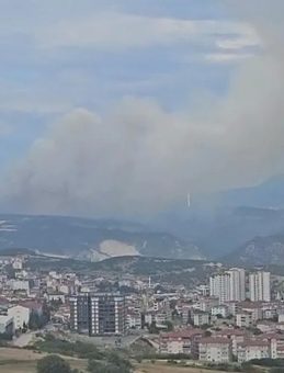 Bilecik'te Orman Yangınına Müdahale Devam Ediyor: Dumanlar Kent Merkezinde Görüldü!