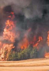 Bilecik&rsquo;in G&ouml;rd&uuml;ğ&uuml; En B&uuml;y&uuml;k Yangın