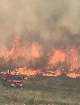 Bilecik’te Bir Orman Yangını Daha Patlak Verdi