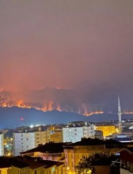 Bilecik’te Tarihinin En Büyük Orman Yangını: 4 Köy Boşaltıldı