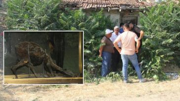 Bir şehir bunu konuşuyor: Keloğlan&rsquo;ın memleketi neresi? 'Şu anda da mağarada hi&ccedil; bozulmadan duruyor'