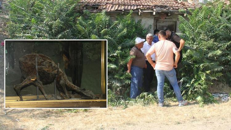 Bir şehir bunu konuşuyor: Keloğlan’ın memleketi neresi? 'Şu anda da mağarada hiç bozulmadan duruyor'