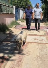 Bu il&ccedil;ede yollar &ccedil;amurdan ge&ccedil;ilmiyor! Vatandaşlar CHP'li belediyeye isyan etti: Yetkililerden artık bir &ccedil;&ouml;z&uuml;m bekliyoruz&hellip;