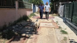 Bu ilçede yollar çamurdan geçilmiyor! Vatandaşlar CHP'li belediyeye isyan etti: Yetkililerden artık bir çözüm bekliyoruz…
