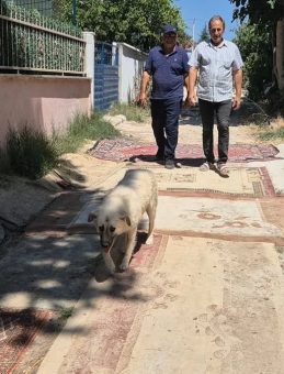 Bu ilçede yollar çamurdan geçilmiyor! Vatandaşlar CHP'li belediyeye isyan etti: Yetkililerden artık bir çözüm bekliyoruz…
