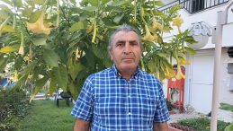 Bu Otel Hem İnsanlara Hem de Hayvanlara Ev Sahipliği Yapıyor!
