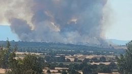 Bulgaristan'daki Orman Yangını Edirne Sınırına Yaklaşıyor! Ekipler Teyakkuza Geçti