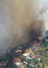Bursa'da Orman Girişleri Ekim Ayına Kadar Yasaklandı