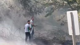 Bursa'da Ormanlık Alanda Yangın Söndürüldü!