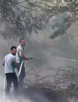 Bursa'da Ormanlık Alanda Yangın Söndürüldü!