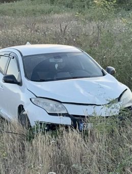 Büyükbaş Hayvanlara Çarpmamak İçin Manevra Yapan Sürücü Şarampole Uçtu!